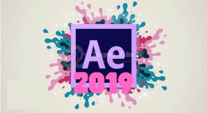 2015 2