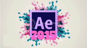 2015 3