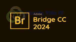 adobe bridge 2024 nen