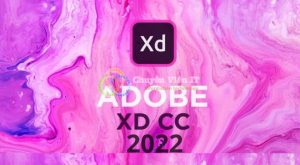 adobe xd 2022 5
