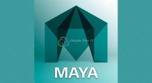 maya 2022 2