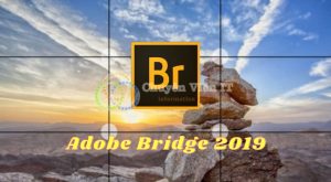nen2 bridge 2019 4